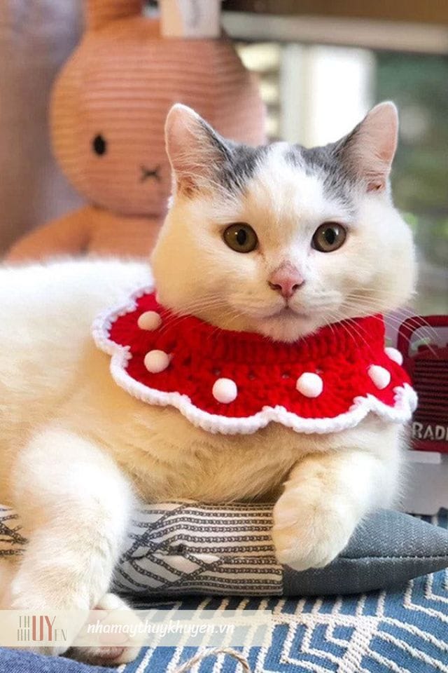 yếm noel là một trong những món đồ noel cho mèo được ưa chuộng nhất yếm noel là một trong những món đồ noel cho mèo được ưa chuộng nhất
