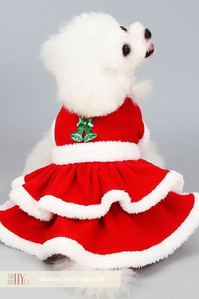 váy merry christmas là món đồ noel cho thú cưng đáng yêu váy merry christmas là món đồ noel cho thú cưng đáng yêu