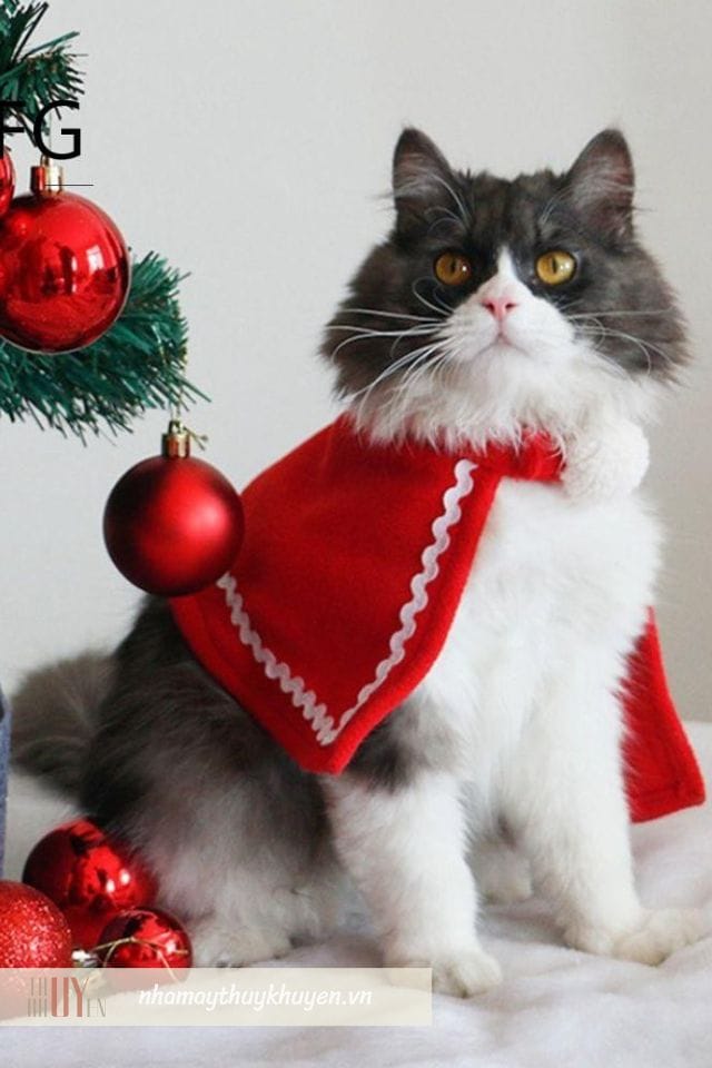 khăn choàng là món đồ noel cho thú cưng được săn đón nhiều nhất khăn choàng là món đồ noel cho thú cưng được săn đón nhiều nhất